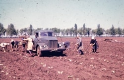 На цьому віддзеркаленому фото – колгоспники (чи працівники радгоспу) десь на Донеччині.