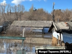 Тобол дарыясынын боюнчагы үйлөр. 10-апрель.