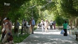 На что жалуется таджикская интеллигенция в Самарканде и Бухаре?