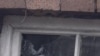 16x9 Image