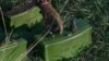 Image result for "Рынкевіч"