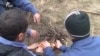 Роҳи осони дарёфти хабару видеоҳои Радиои Озодӣ