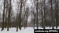 Парк партызанскай славы. Частка парку, якую плянуюць зьнішчыць