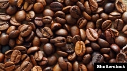 фота: Shutterstock.com