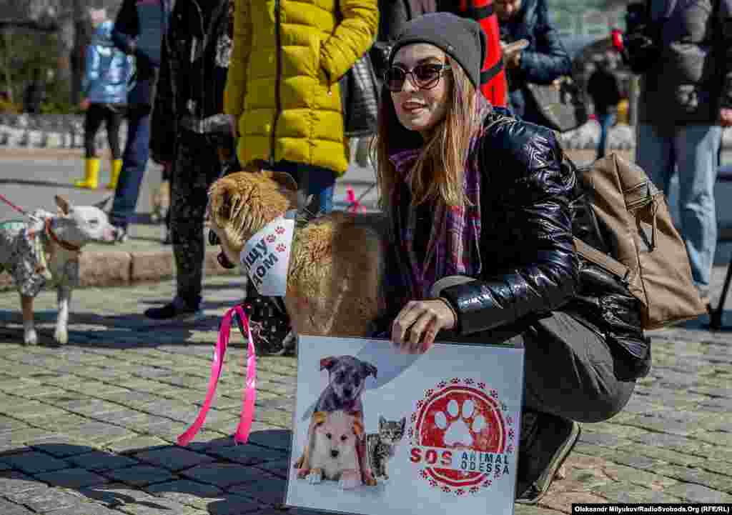«Animal SOS Одеса» – одна з волонтерських груп допомоги бездомним тваринам