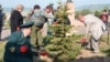 Татарстан чыршыларын утырту