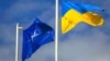Уряд схвалив проект указу про програму під егідою комісії Україна – НАТО