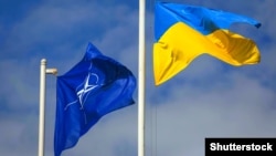 Представник альянсу наголосив, що НАТО підтримує Україну і закликає Росію вивести всі свої сили з української території