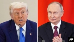 Дональд Трамп и Владимир Путин 