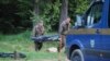 Image result for Сьвірыд