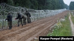 Загалом Польща за добу 23 вересня повернула до Білорусі 271 мігранта
