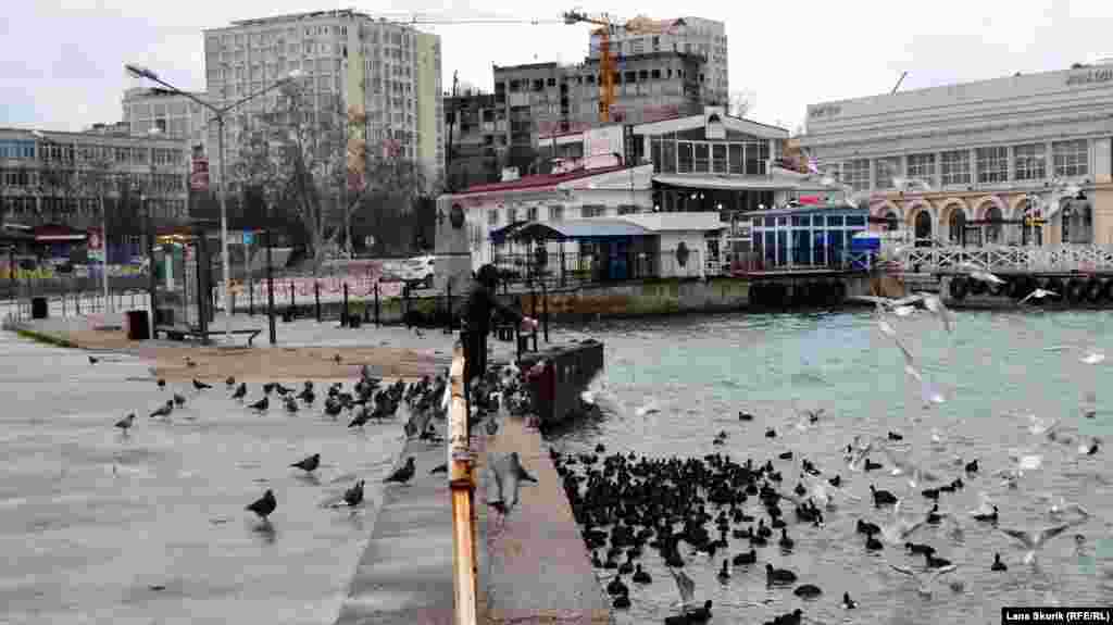 Артбухта, чоловік годує чайок, голубів і качок 