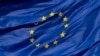 Апазыцыянэры сустрэліся з прадстаўнікамі Эўракамісіі і пайшлі на суды