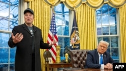 Илон Маск жана Дональд Трамп.