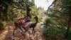UKRAINE FOROS – Foros Landscape Park, 4Jan2019