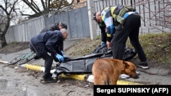 Згідно з даними супутників, щонайменше 11 тіл перебували на вулиці з 11 березня, коли Росія, за її власним твердженням, захопила місто