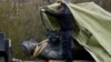 У Празі демонтували пам’ятник радянському маршалу Конєву – фото