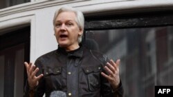 Засновника Wikileaks Джуліан Ассанж