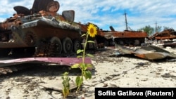 Уничтоженная российская военная техника на сельскохозяйственной ферме, которая использовалась российскими войсками в качестве военной базы в Харьковской области. 17 июля 2022 года